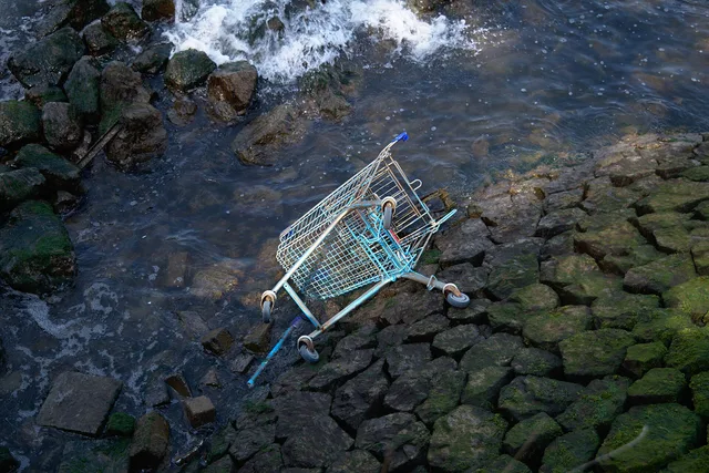 Abandoned shopping cart in Rotterdam (Dokhavenpark). Cart abandonment emails: timing and subject lines for UK stores