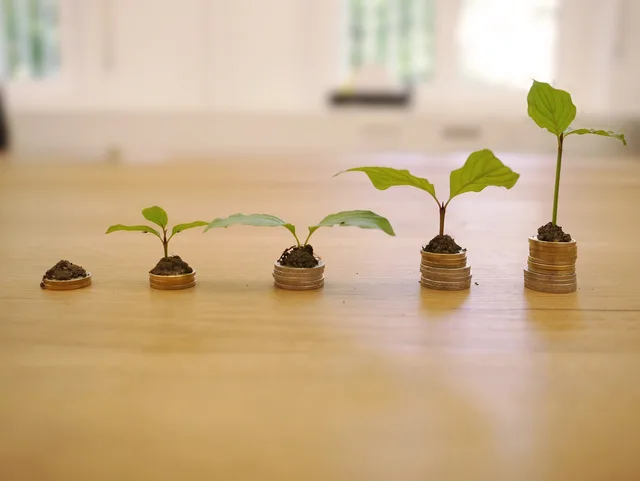 growth, credit, cost, interest charges, finance, money, business, investments, loan, payment, income, wealth, bank, cash, coin, cost, cost, cost, cost, cost, income, income. Conversion ROI stays blank until the cost is whole and the uplift is causal