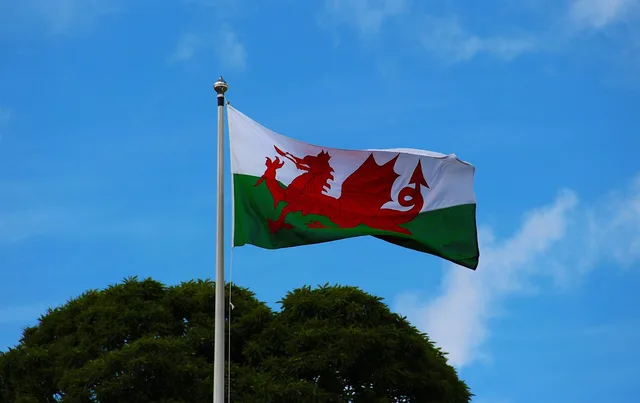 welsh flag, pennant, welsh, wales, flag, banner, nation, emblem, country, national, symbol, icon, sign, dragon, insignia, wind, standard, patriotic, ensign, patriotism, official, original, nationality, design, streamer, blue banner, blue dragon, welsh flag, welsh flag, welsh flag, welsh flag, welsh flag, welsh, wales. Bilingual Welsh checkout testing for online stores selling into Wales